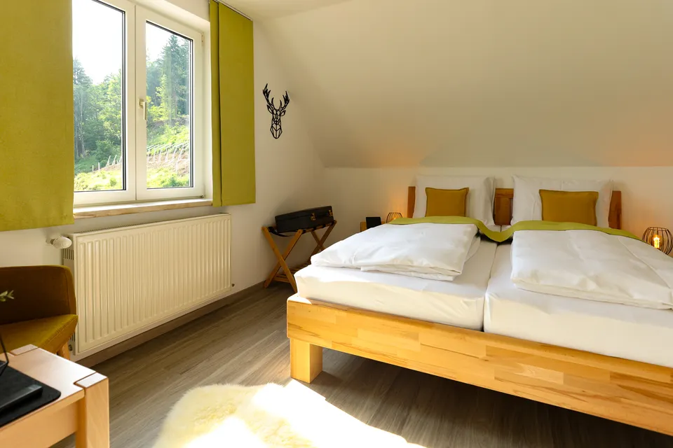 Doppelzimmer Puxbergblick – Foto 2